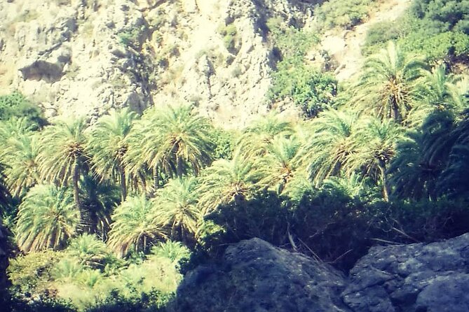 River Trekking at Kourtaliotiko Gorge, Rethymno-Crete - Overview of Kourtaliotiko Gorge