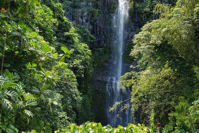Road to Hana Adventure - Private - Just for Your Family or Group - Pricing and Duration