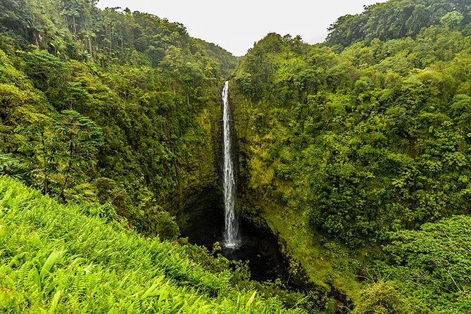 Road To Hana: Maui Waterfall Hiking Tour in Private Jeep - Traveler Experience and Reviews