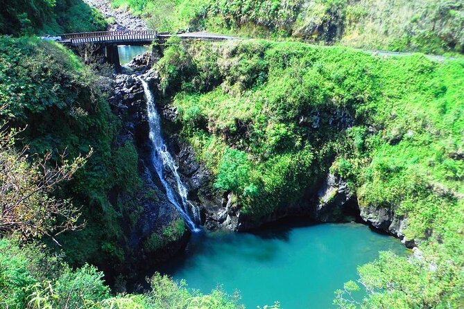 Road to Hana Private Jungle Tour - Tour Details