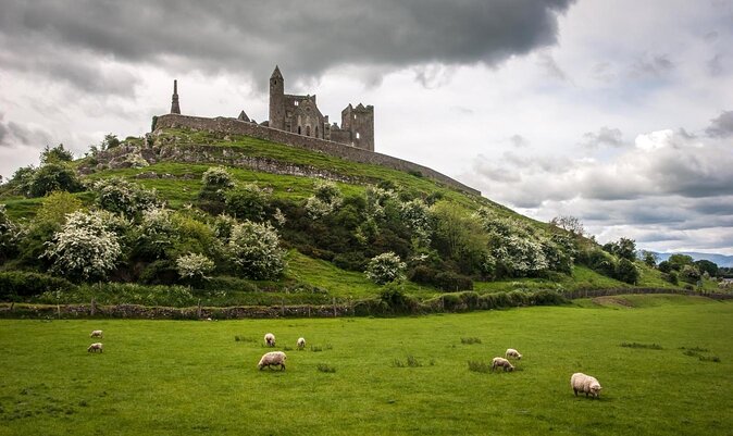 Rock Of Cashel And Blarney Castle Private Chauffeur Full Day Sightseeing Tour - Tour Highlights