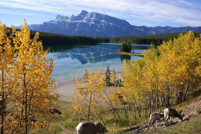 Rockies 4 Day Tour From Calgary Visit Icefield Jasper and Yoho NP - Tour Highlights