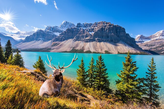 Rocky Mountain National Park Self-Guided Driving Audio Tour - Whats Included in the Tour