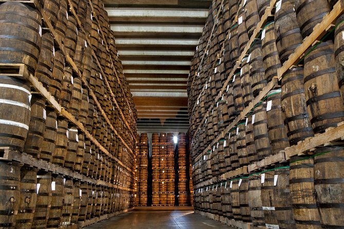 Ron Barcelo Anejo Experience Factory Tour - Learning the Distilling and Aging Processes