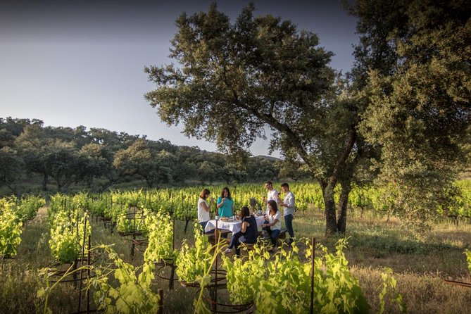 Ronda Private Wine Tour and Tapas From Marbella - Tour Details