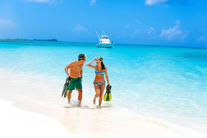Rose Island: Sandy Toes Original Swimming Pigs and Snorkeling - Pricing and Booking