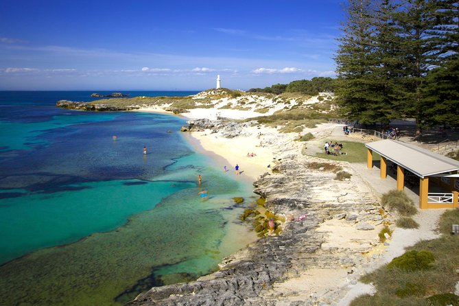 Rottnest Island Fast Ferry From Hillarys Boat Harbour Including Bike Hire - Pricing and Value