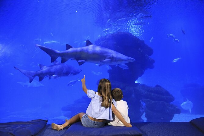 Round Trip Transfer From/To Palma Aquarium - Pricing and Booking Details