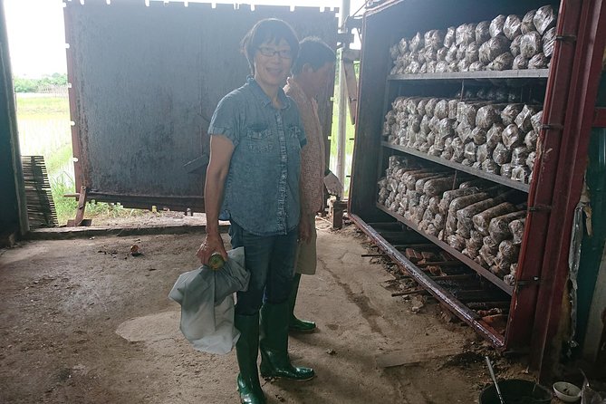 Rural Hanoi Culture Farm Trip - Farm Trip Highlights