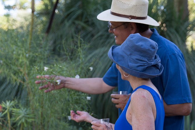 Ruth Bancroft Garden General Admission Ticket - Inclusions and Facilities
