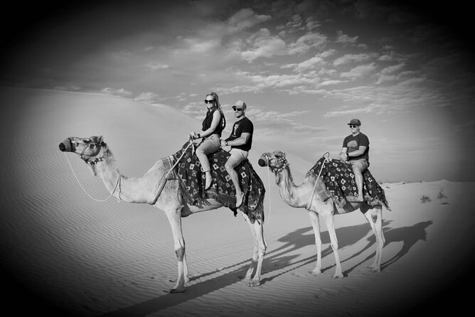 Safari Half-Day Adventure From Abu Dhabi - Desert Expedition From Abu Dhabi