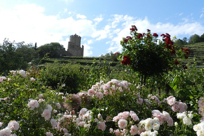 Safari-Tour: the Emblematic and Perfume Workshop of Alsace, for the Day - Overview of the Safari-Tour
