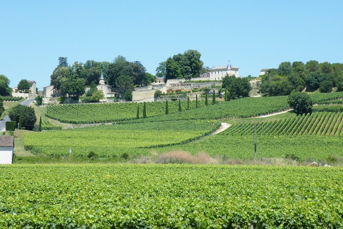 Saint Emilion Wine Tour Half Day - Tour Overview
