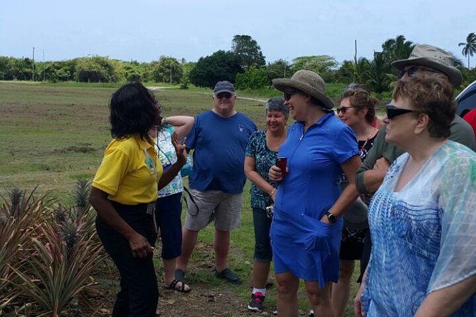 Saint Phillips, Antigua Culture and History Tour - Tour Highlights
