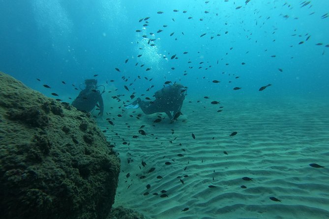 Salou Private Beginner Scuba Diving Course  - Tarragona - Activity Overview