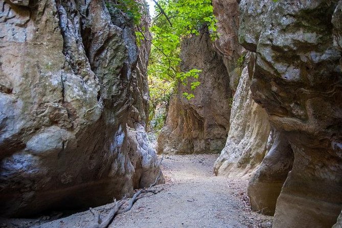 Samaria Gorge Hiking Excursion From Rethymnon  - Chania - What to Expect on the Hike