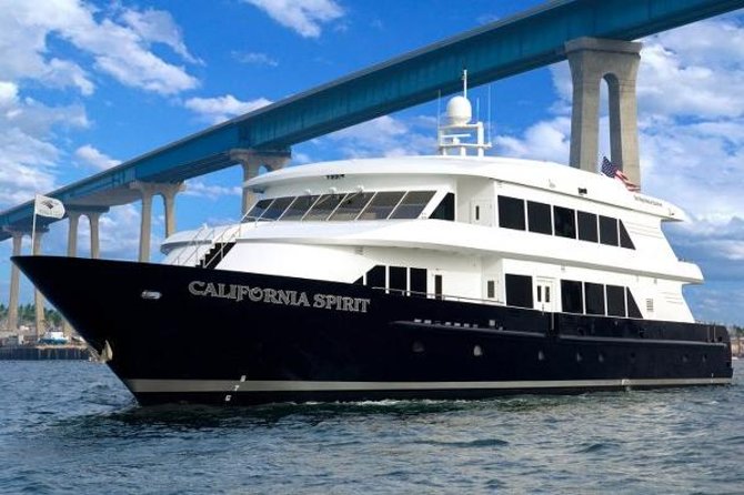 San Diego Bay Sunday Champagne Buffet Brunch Cruise Tour - Cruise Details