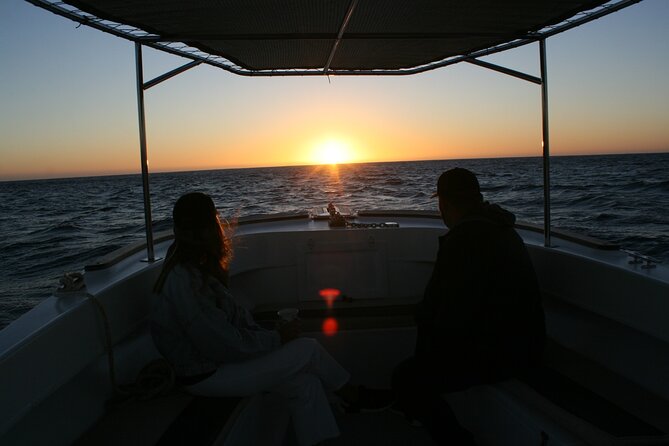 San Jose Del Cabo Small-Group Sunrise Whale Watching - Overview and Experience