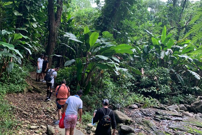 San Juan Small-Group Rain Forest Hike - Meeting and Pickup Details