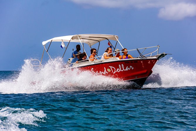 Sand Dollar Half Day Snorkel Trip - The Sum Up