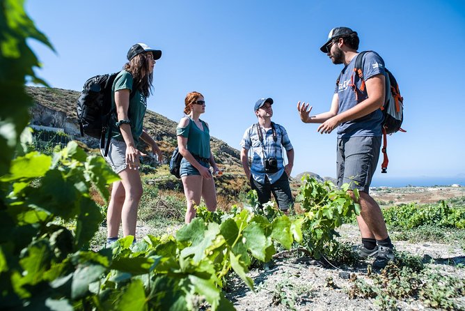Santorini : Cooking Class & Easy Hike - Traveler Photos and Reviews