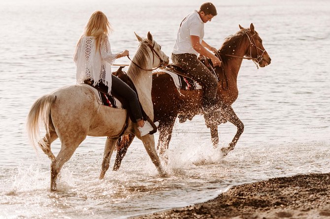 Santorini Small-Group Horseback Safari for All Levels - Overview and Details