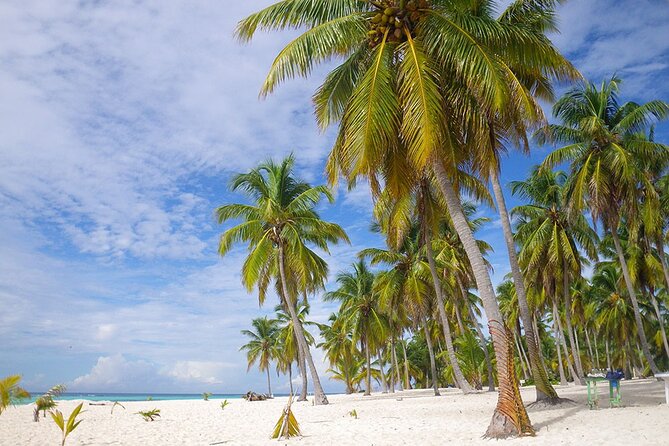 Saona Island Full Day Excursion From Punta Cana Catamaran Party - Highlights of the Catamaran Party