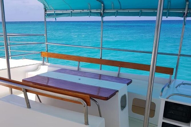 Saona Island: Full-day Sailing Tour - Small Group - Traveler Photos of Saona Island Tour