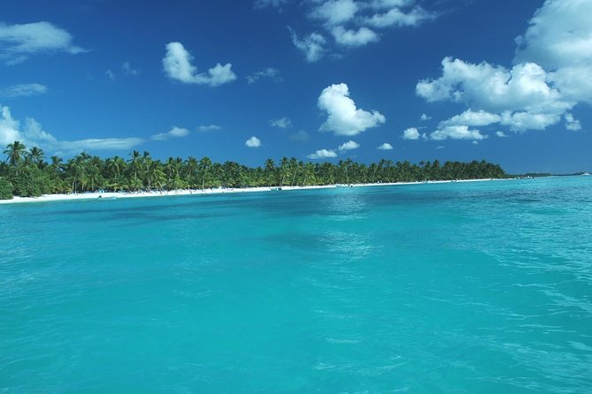 Saona Island Full-Day Tour With Lunch From Punta Cana - What to Expect on the Tour