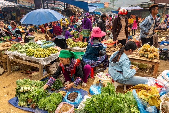 Sapa, Bac Ha Market Tour - 1 Day Tour - Reviews and Ratings