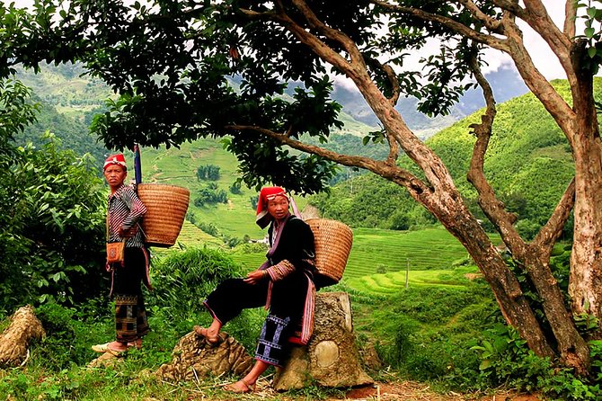 Sapa Easy Trekking Tour 1 Day - Rice Paddies and Cultures - Tour Overview
