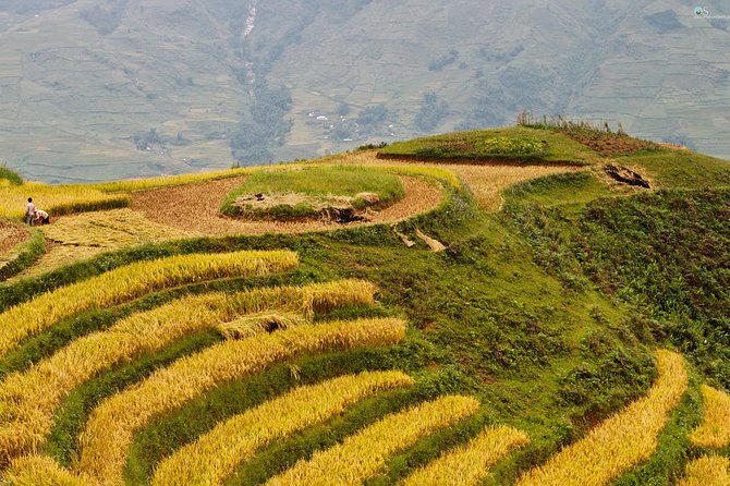 Sapa Motorbike Tour 1 Day See All Of Rice Fields & Valleys in One Day - Itinerary Overview