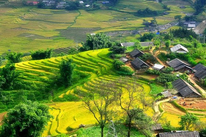 Sapa Village Trekking 1 Day Trip - Lunch at a Local Restaurant in Lao Chai