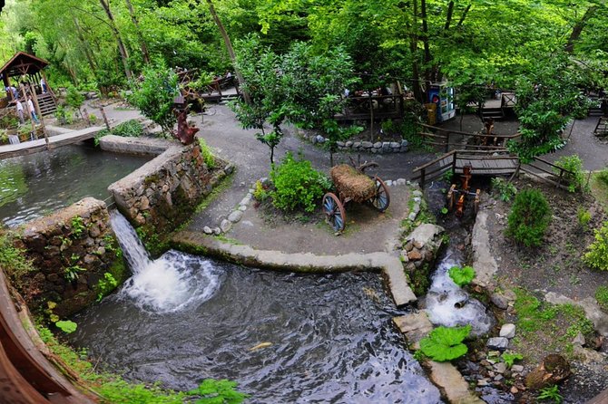 Sapanca Lake & Masukiye Zoo Tour With Lunch - Exploring Nature in Masukiye