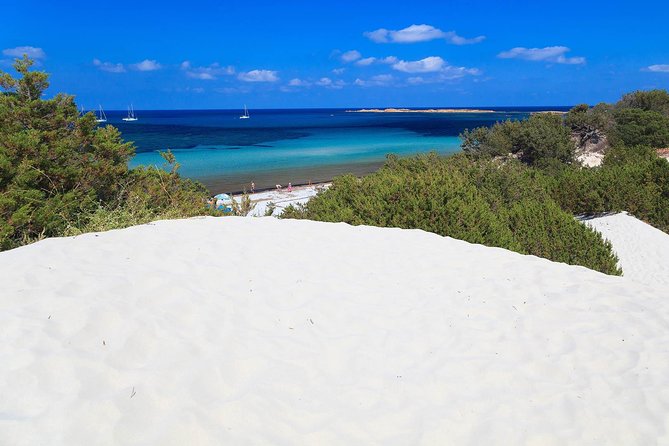 Sardinia Coastline and Inland Countryside Tour by 4x4 - Tour Highlights