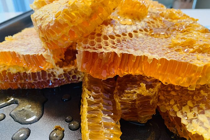 Savannah Small-Group Beekeeping Tour  - Grand Cayman - Overview and Importance of Bees