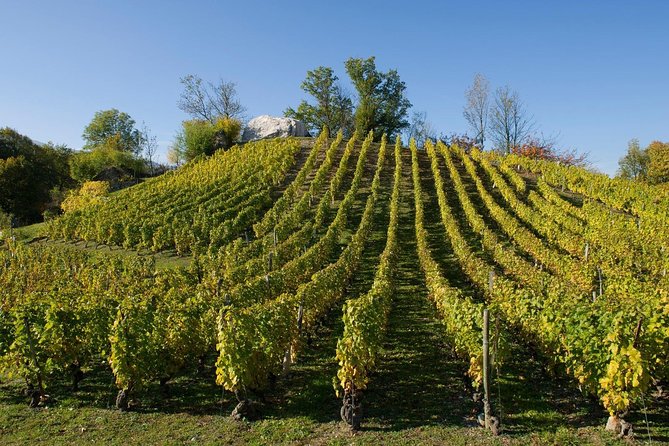 Savoyard Vineyards Tour (8 Hours) - Private Driver - From Annecy - Private Transportation