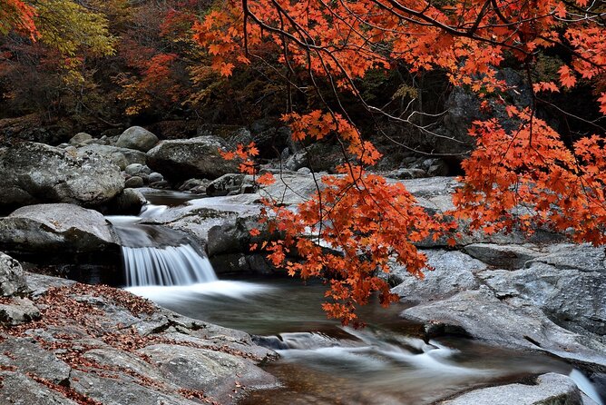 Scenic Jiri Mountain Autumn Foliage One Day Tour - Overview of Jiri Mountain