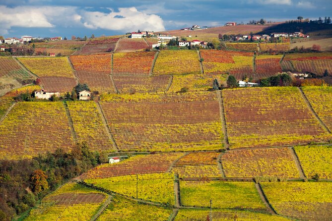 Scenic Langhe Hike and Wine Tasting From Alba  - Langhe-Roero and Monferrato - Pricing and Booking