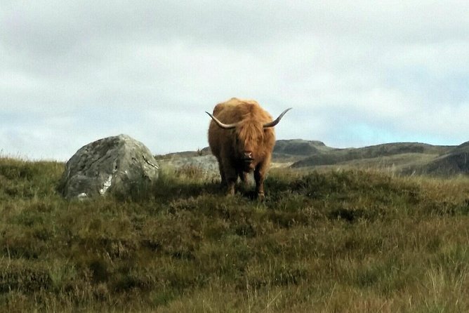 Scottish Highland Bike Tour by Manual or E-bike - Pricing and Booking Options