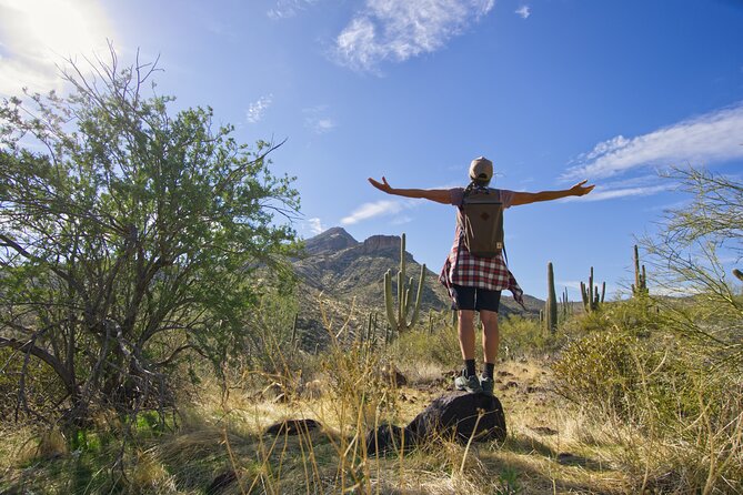 Scottsdale Desert Classic Hiking Adventure - Overview and Experience