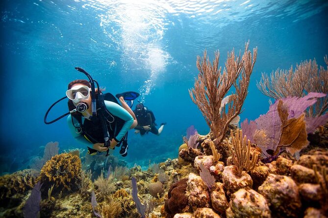 Scuba Diving at Jumeirah Dubai With Private Transfers - Private Transportation Details