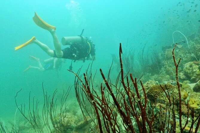 Scuba Diving for Certified Divers in Phu Quoc Island - Top Dive Sites in Phu Quoc