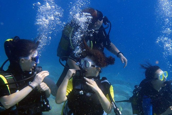 Scuba Diving From Fethiye - Pricing and Booking Details