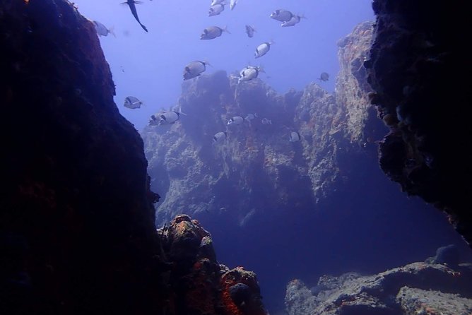 Scuba Diving in Naxos, Greece - Scuba Diving Experience in Naxos