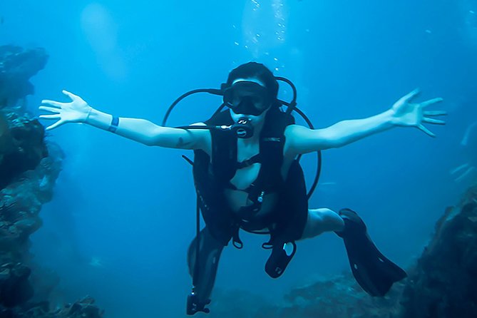 Scuba Diving Marietas Islands - Destination Overview