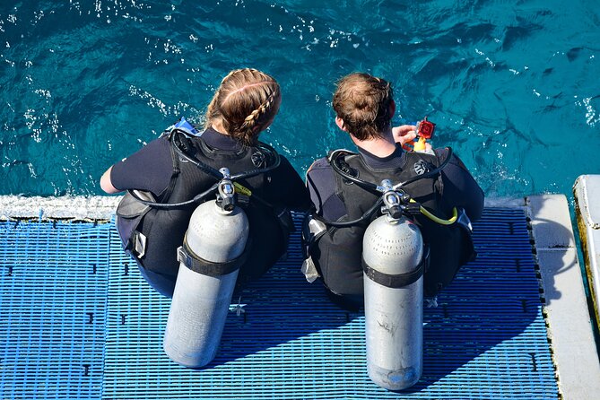 Scuba Diving Tour From Abu Dhabi to Dubai - Tour Details