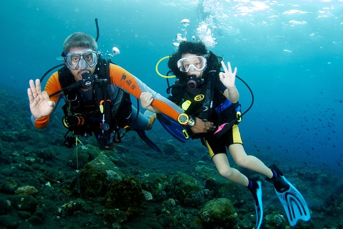 Scuba Diving Tour From Alanya - Side - Antalya - Additional Information
