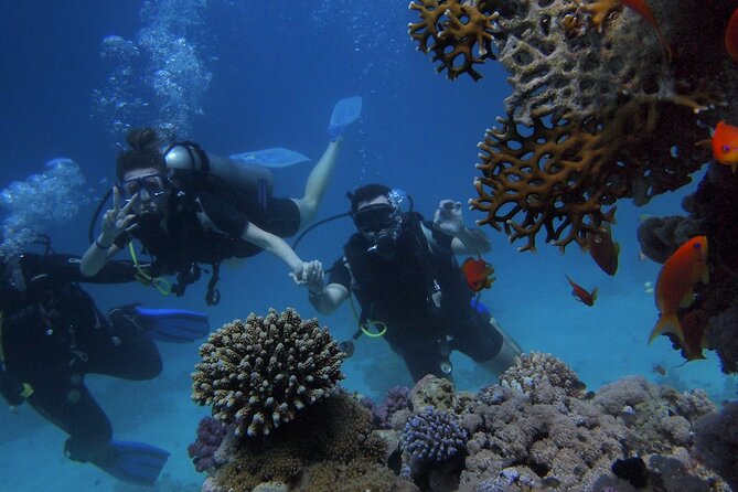 Scuba Diving Tour in Antalya With Lunch and Transfer - Tour Highlights