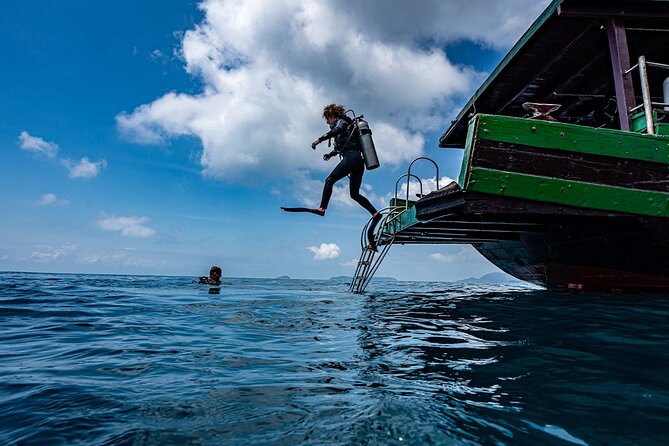 Scuba Diving Tour in Cham Island for Certified Divers or Beginners - Pricing and Guarantee